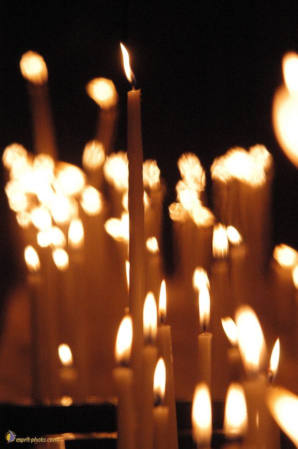 Nom de l'image : E00007241-01_(c)Norbert-JUNG — Description :